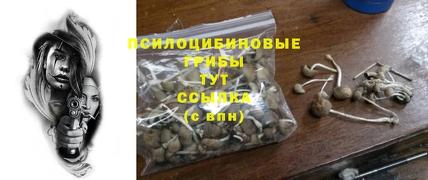 дурь Армянск