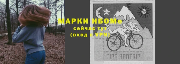 прущие грибы Алексин