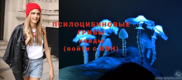 марки nbome Аркадак