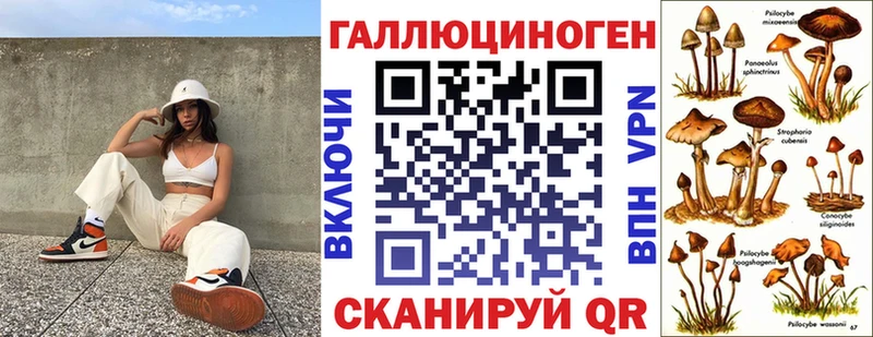 Галлюциногенные грибы GOLDEN TEACHER  Цимлянск 